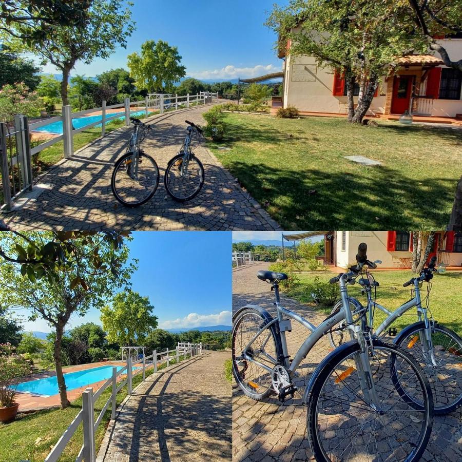 Villa Bagnole B&B - Holiday Apartments Lonato Bagian luar foto